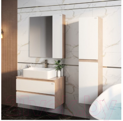 Шкаф с зеркалом для ванной Onika Алеста 80.00 R