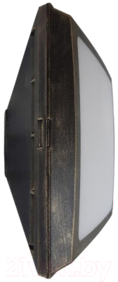 Бра уличное Fumagalli Guizeppe 4P2.000.000.BYF1R