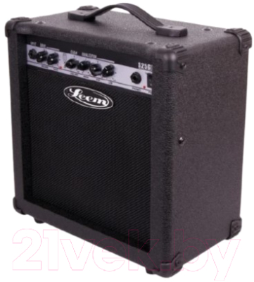 Комбоусилитель Leem S25G