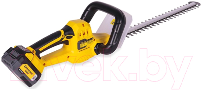 Кусторез аккумуляторный Champion HTB1821 (АКБ и ЗУ) - фото