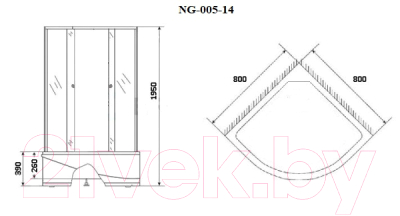 Душевой уголок Niagara NG-005-14 80x80