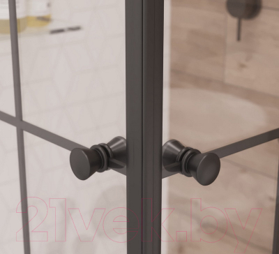 Душевой уголок Niagara NG-0100-14 100x100