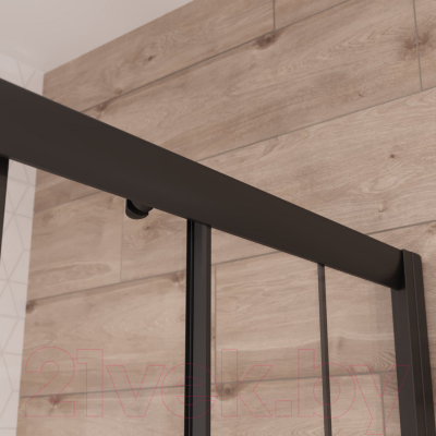 Душевой уголок Niagara NG-0100-14 100x100