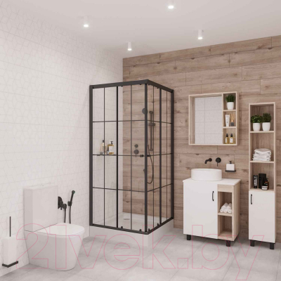 Душевой уголок Niagara NG-0100-14 100x100