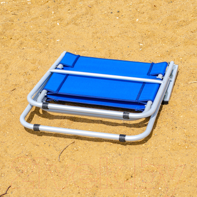 Кресло складное НПО Кедр Dolphins / AKS-B-13