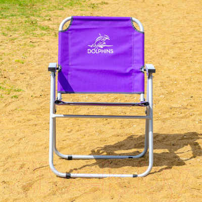 Кресло складное НПО Кедр Dolphins / AKS-V-13