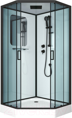 Душевая кабина Niagara NG-6901-01D 90x90