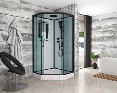 Душевая кабина Niagara NG-6901-01D 90x90