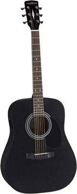 Акустическая гитара Parkwood W81-WBAG-BKS - фото