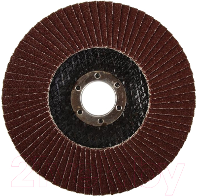 Шлифовальный круг Энкор 55406 - фото