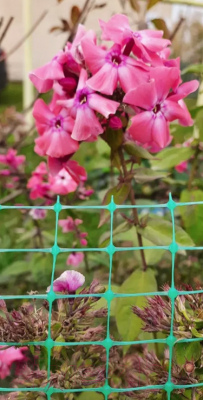 Сетка садовая ЧЗМ Для цветов 150х150 1х6