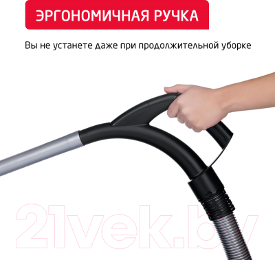 Пылесос Arnica Tesla Premium / ET14320 (серебристый)