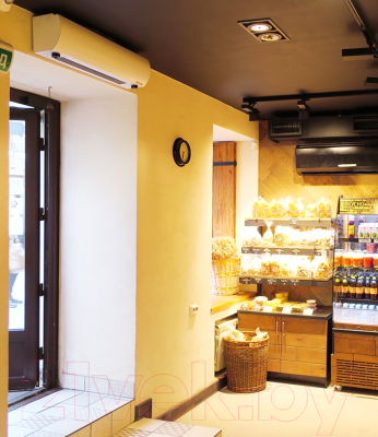 Тепловая завеса Тепломаш Оптима 100 / КЭВ-3П1154Е