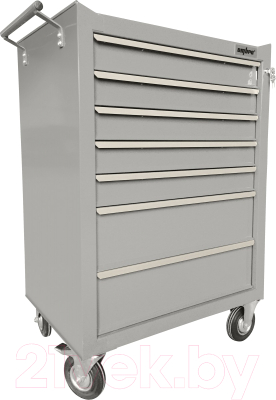 Тележка инструментальная Ombra OTT47G-R