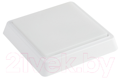 Светильник ЖКХ ЭРА SPB-302-0-4K-10 / Б0055047