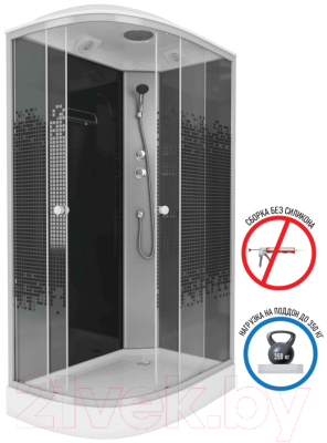 Душевая кабина Niagara NG-4512-14R 120x80