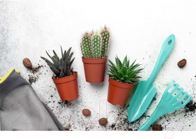 Набор садовых инструментов Ingreen IG601012027