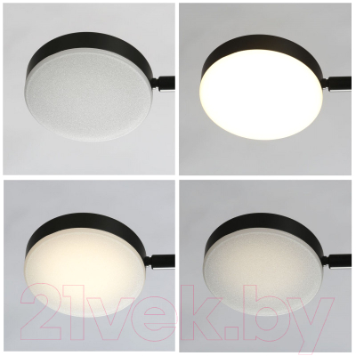 Потолочный светильник De Markt Гэлэкси 632017206