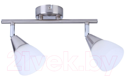 Спот Toplight Keziah TL1232Y-02SN - фото