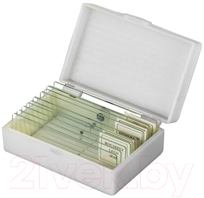 Набор микропрепаратов Микромед С предметными стеклами / 20529 - фото