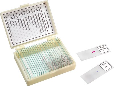 Набор микропрепаратов Микромед Анатомия и Физиология / 22751 - фото