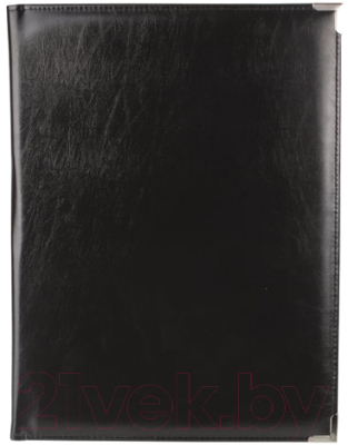 Папка деловая Алекс 165/165и - фото