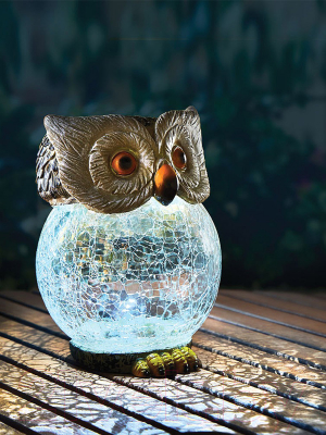 Садовая фигура-светильник Uniel USL-S-813/GT160 OWL / UL-00007867