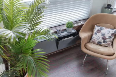 Тумба в прихожую Econova 433281411 (серый)