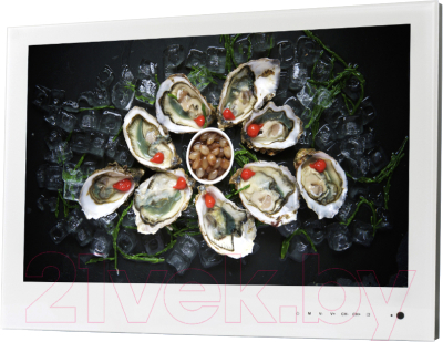 Телевизор Avel Smart AVS240WS (белый)