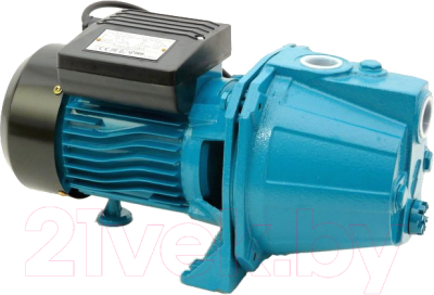 Поверхностный насос Omnigena JET-100 A(а) Inox 1100/230В/50м - фото