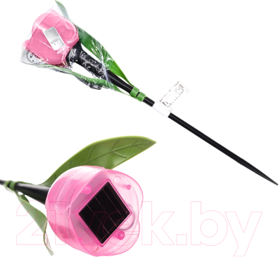 Светильник уличный Uniel Розовый тюльпан USL-C-451/PT305 / UL-00004276