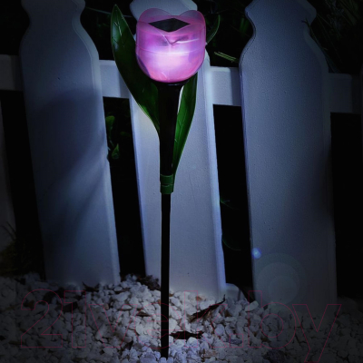 Светильник уличный Uniel Розовый тюльпан USL-C-451/PT305 / UL-00004276