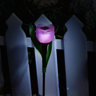 Светильник уличный Uniel Розовый тюльпан USL-C-451/PT305 / UL-00004276
