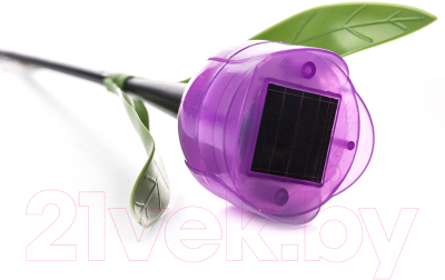 Светильник уличный Uniel Лиловый тюльпан USL-C-453/PT305 / UL-00004278