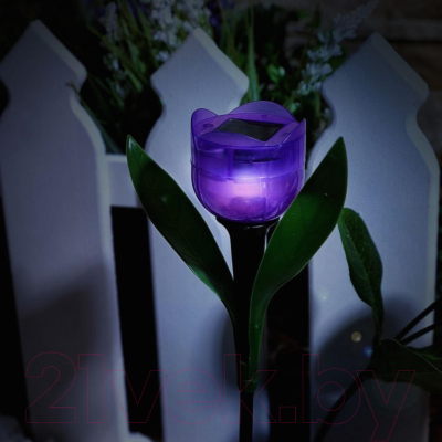 Светильник уличный Uniel Лиловый тюльпан USL-C-453/PT305 / UL-00004278