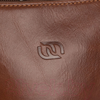 Сумка Francesco Molinary 513-118208-060-BRW