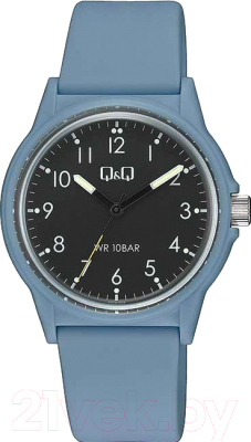 Часы наручные мужские Q&Q V00AJ004V - фото