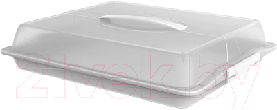 Емкость для хранения выпечки Rotho John Large для пирожных / 1748301100 (прозрачный/белый) - фото