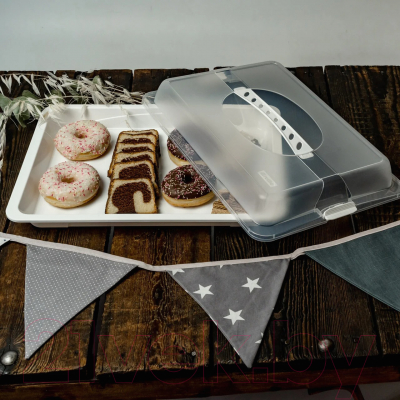 Емкость для хранения выпечки Rotho John Large для пирожных / 1748301100 (прозрачный/белый)