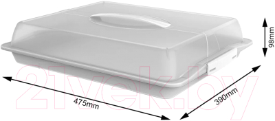 Емкость для хранения выпечки Rotho John Large для пирожных / 1748301100 (прозрачный/белый)