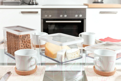 Емкость для хранения Rotho Loft Premium / 1161090000 (прозрачный/белый)