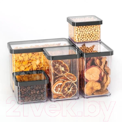 Емкость для хранения Rotho Loft Premium / 1161008080