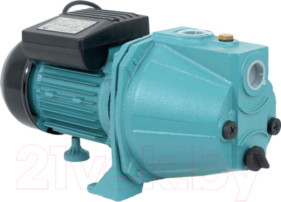 Поверхностный насос Omnigena JET-100A(a) 1100/230В/50м - фото