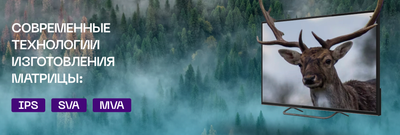 Телевизор POLAR P42L31T2CSM