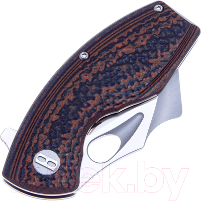 Нож складной Bestech Knives Lizard BG39A