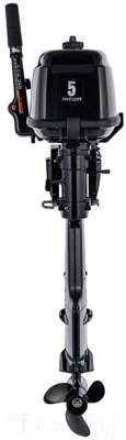 Мотор лодочный Parsun T 5 BMS