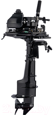 Мотор лодочный Parsun T 5 BMS