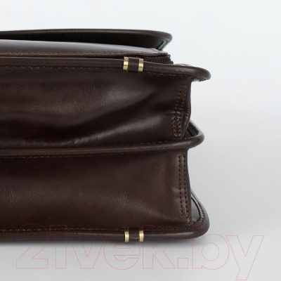 Сумка Francesco Molinary 513-31008-003-DBW