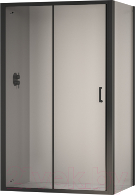 Душевой уголок RGW PA-74B / 410874107-14 - фото