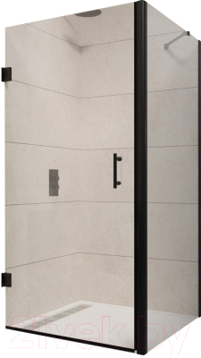 Душевой уголок RGW PA-36-B / 41083680-014 - фото